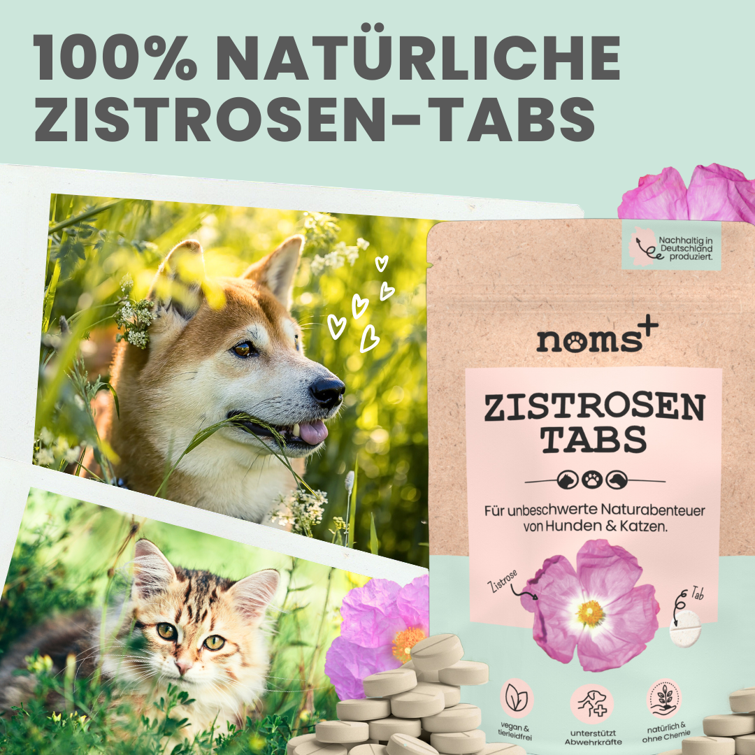 Zistrosen Tabs