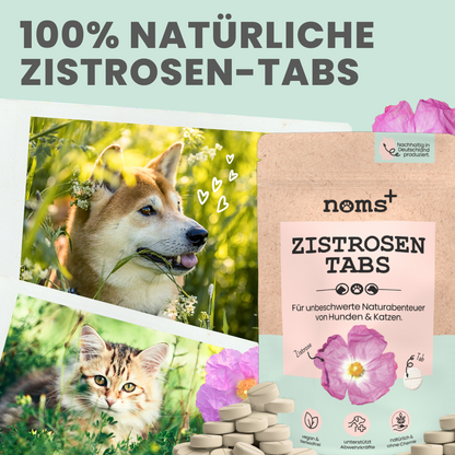 Zistrosen Tabs
