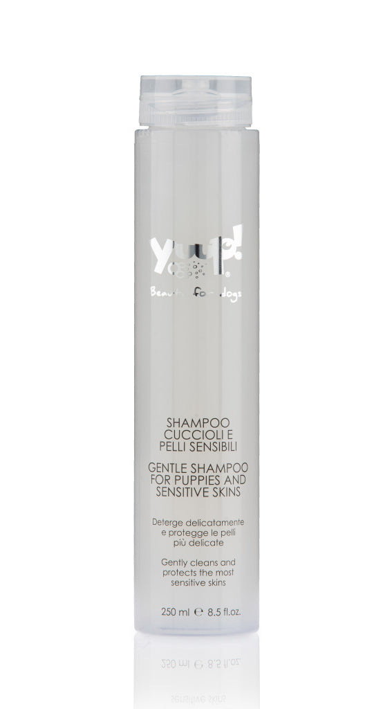 Shampoo für Welpen und empfindliche Haut
