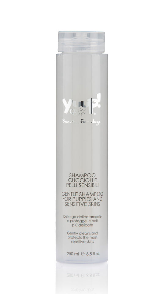 Shampoo für Welpen und empfindliche Haut