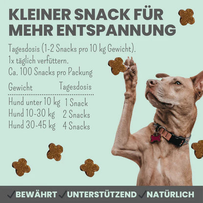Wohlfühlsnacks für Hunde bei Stress, Angst, Unruhe & Hyperaktivität