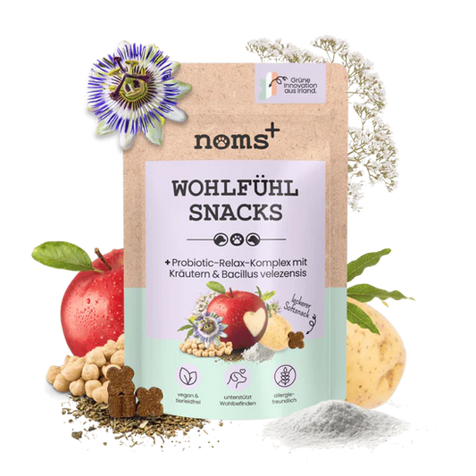 Wohlfühlsnacks für Hunde bei Stress, Angst, Unruhe & Hyperaktivität