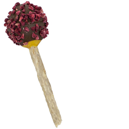 Cheesie Pops - Candy-Bar