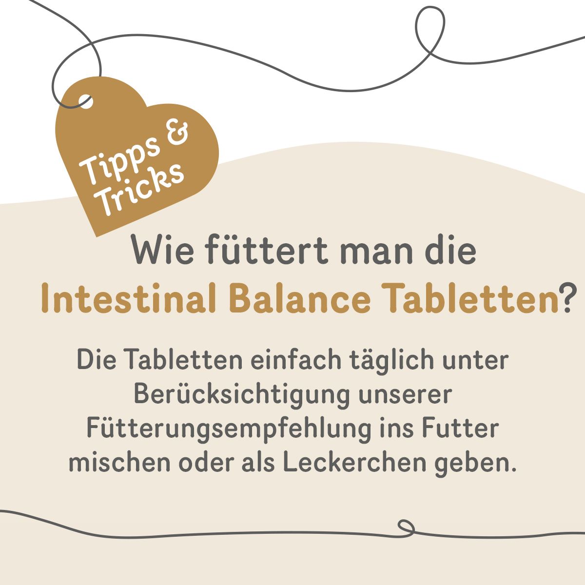 Intestinal Balance - Darmflora